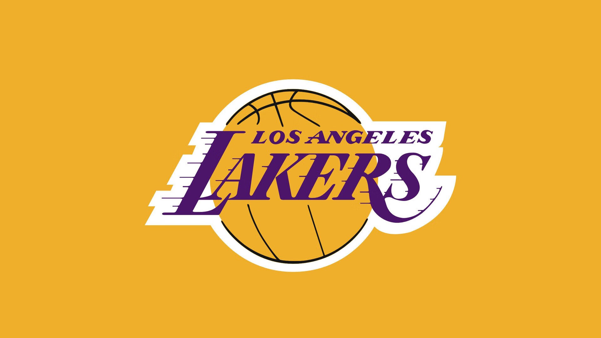 荷兰国家队备战备受关注，欧锦赛看台热闹，荷兰 欧锦赛