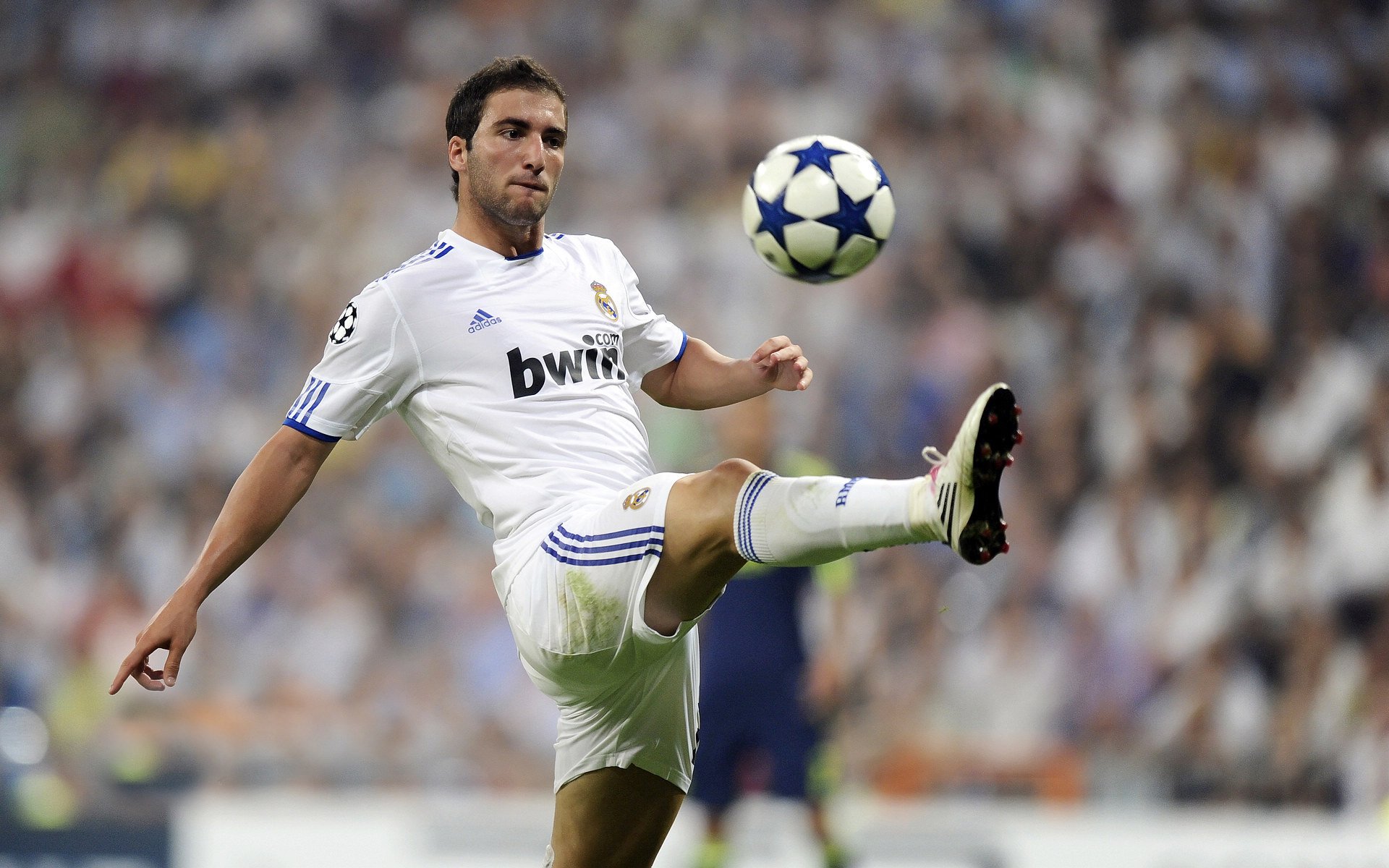 赛道背后：那些令人心碎与振奋的故事，赛道的含义